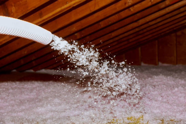 Best Residential Insulation in Vero Beach, FL