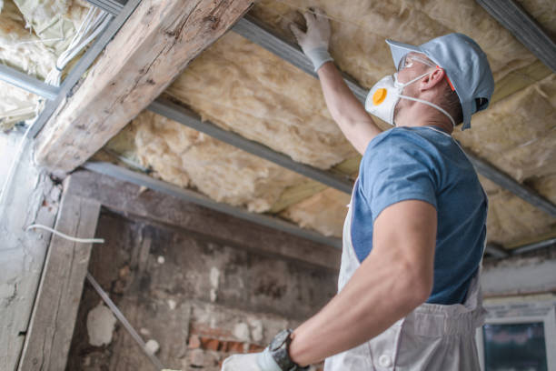 Best Eco-Friendly Insulation in Vero Beach, FL